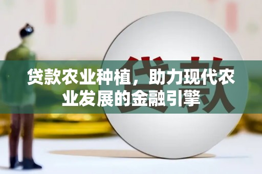 利辛贷款农业种植，助力现代农业发展的金融引擎