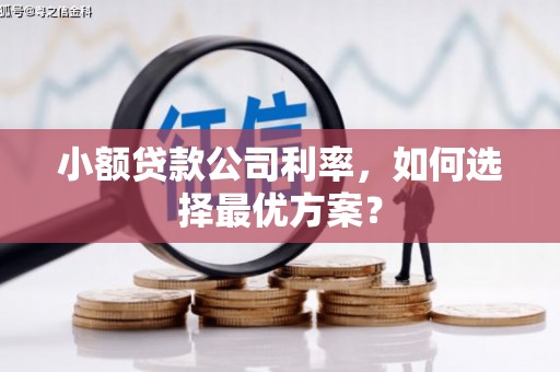 紫金小额贷款公司利率，如何选择最优方案？
