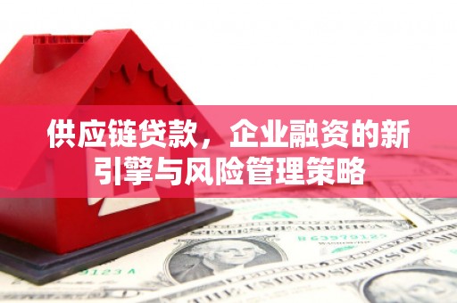 太麻里供应链贷款，企业融资的新引擎与风险管理策略