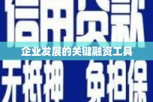 岳阳楼企业发展的关键融资工具