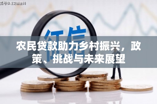 中区农民贷款助力乡村振兴，政策、挑战与未来展望