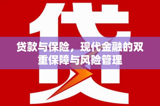 邵东贷款与保险，现代金融的双重保障与风险管理