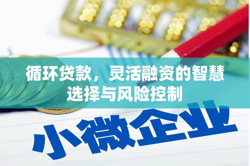 贾汪循环贷款，灵活融资的智慧选择与风险控制