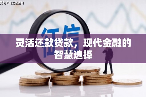 市中区灵活还款贷款，现代金融的智慧选择