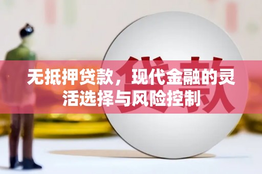 广陵无抵押贷款，现代金融的灵活选择与风险控制