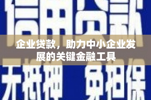 茂林企业贷款，助力中小企业发展的关键金融工具