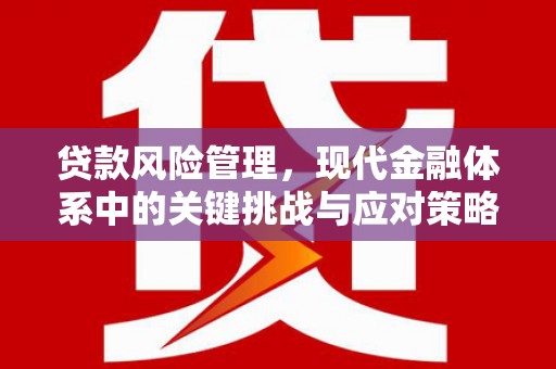 利辛贷款风险管理，现代金融体系中的关键挑战与应对策略