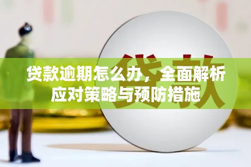 武侯贷款逾期怎么办，全面解析应对策略与预防措施