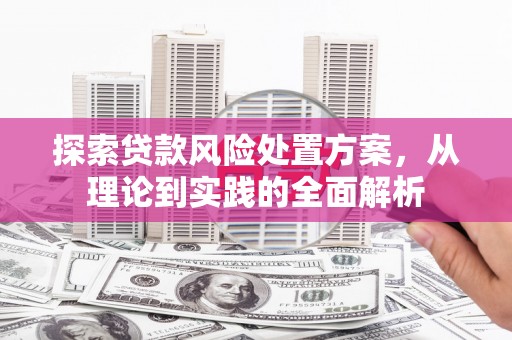 阿里山探索贷款风险处置方案，从理论到实践的全面解析