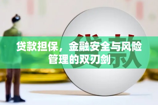 阿巴嘎旗贷款担保，金融安全与风险管理的双刃剑