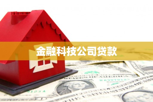 中正金融科技公司贷款