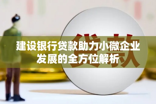 临沂建设银行贷款助力小微企业发展的全方位解析