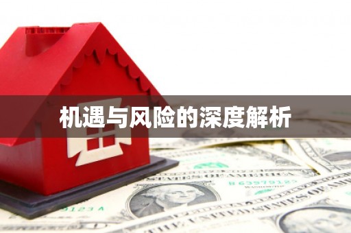 溪州机遇与风险的深度解析