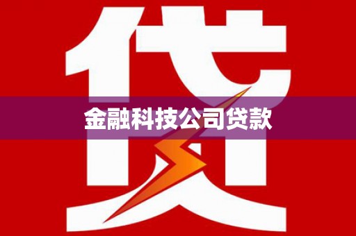 新和金融科技公司贷款