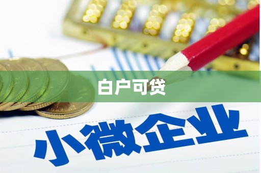 鹿野白户可贷