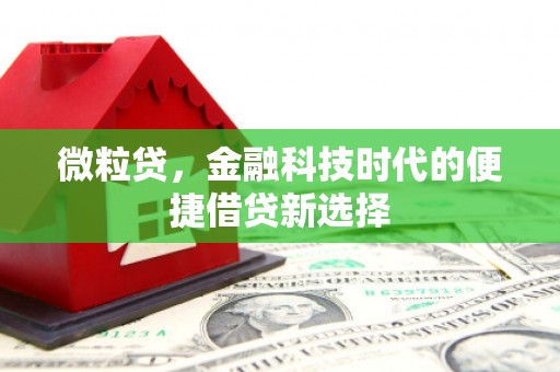 札达微粒贷，金融科技时代的便捷借贷新选择