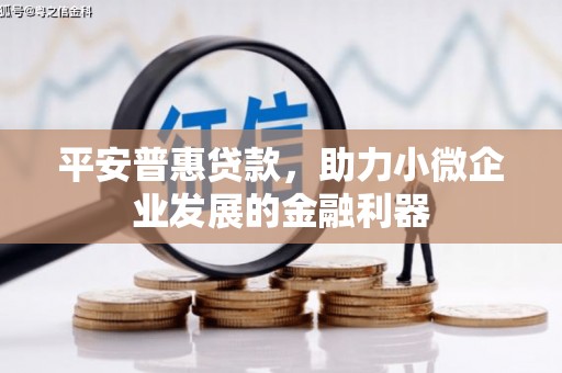 茅箭平安普惠贷款，助力小微企业发展的金融利器