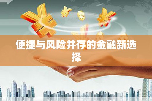 云龙便捷与风险并存的金融新选择