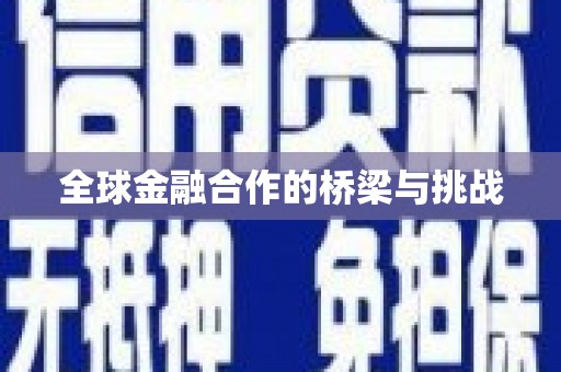 毕节全球金融合作的桥梁与挑战